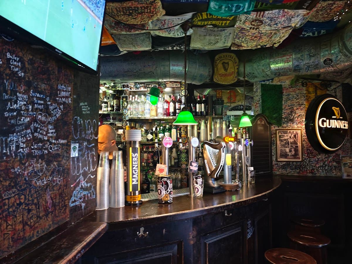 The Lion's Fountain Irish Pub photo 1