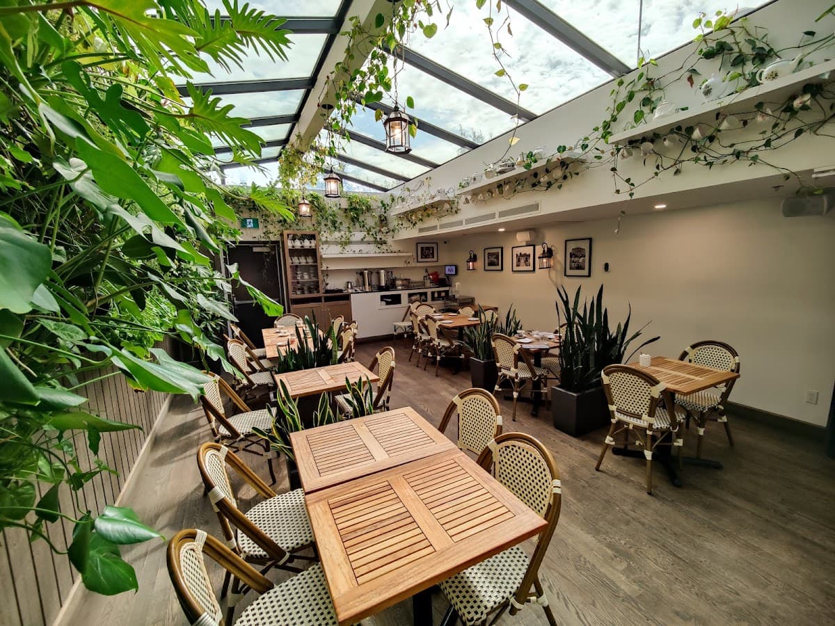 Burgundy Lion photo 1